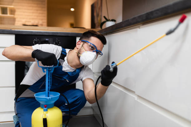 Best Affordable Pest Control Services  in Coord, NC