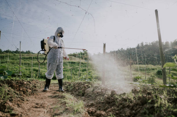 Best Ant Control Services  in Coord, NC