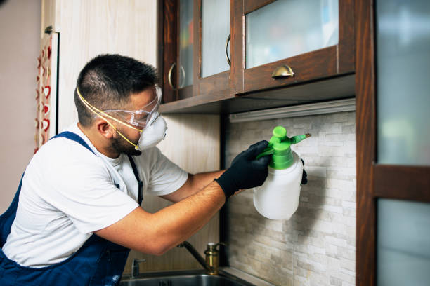 Best Ant Control Services  in Coord, NC