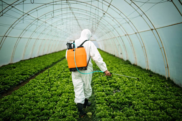 Best Residential Pest Control  in Coord, NC