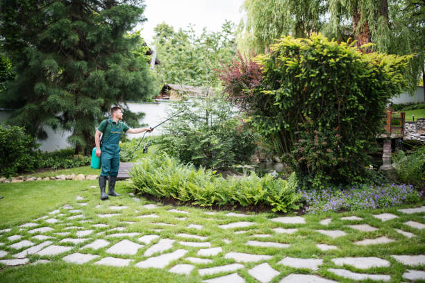 Best Affordable Pest Control Services  in Coord, NC