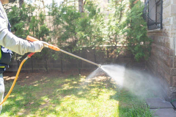 Reliable Concord, NC Pest Control Solutions