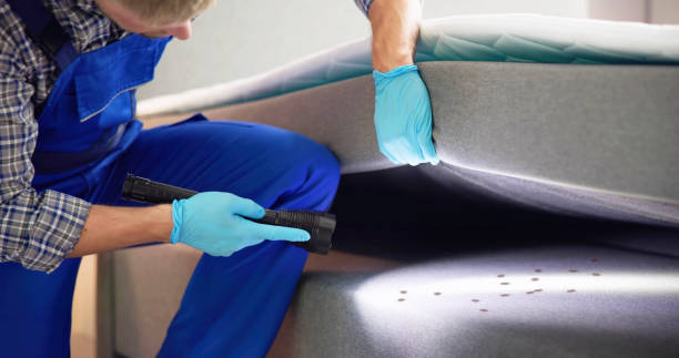 Best Best Pest Control Companies  in Coord, NC