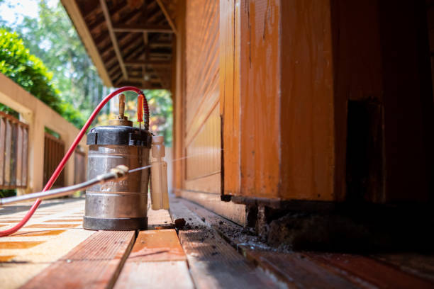 Best Wasp Removal Services  in Coord, NC