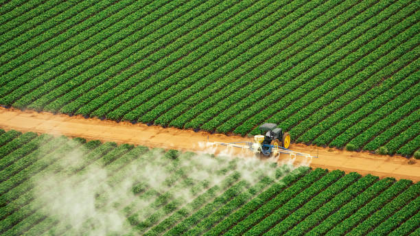 Best Pest Removal Services  in Coord, NC