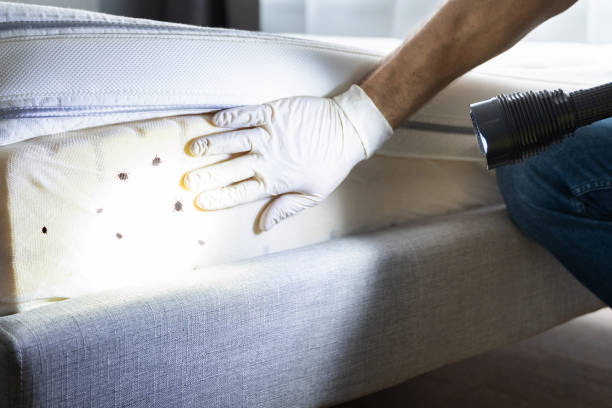Best Bed Bug Extermination  in Coord, NC