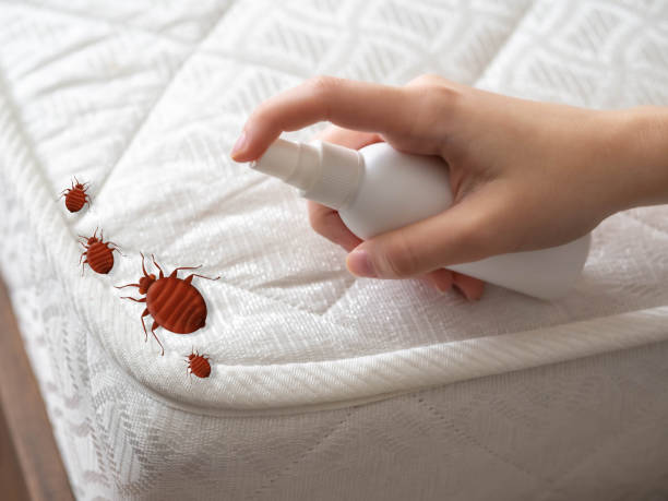  Coord, NC Pest Control Pros