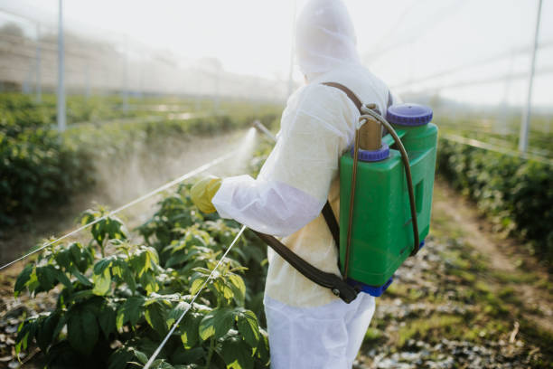 Best Flea Control Services  in Coord, NC